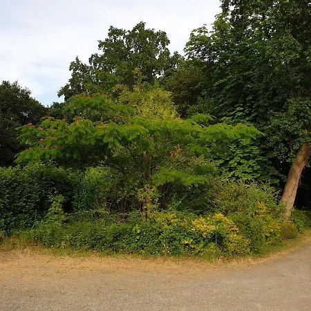 Logis Relais Des Cailleres 4* Saint Pavace