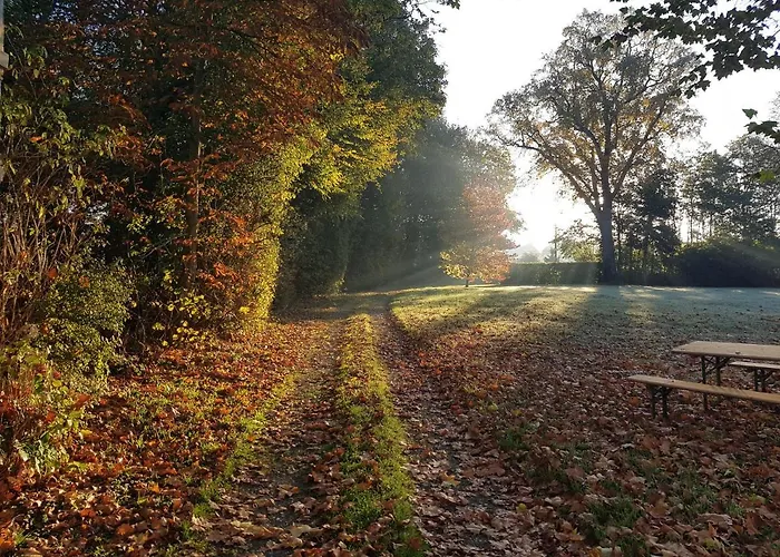 Pensión Logis Relais Des Cailleres 4*